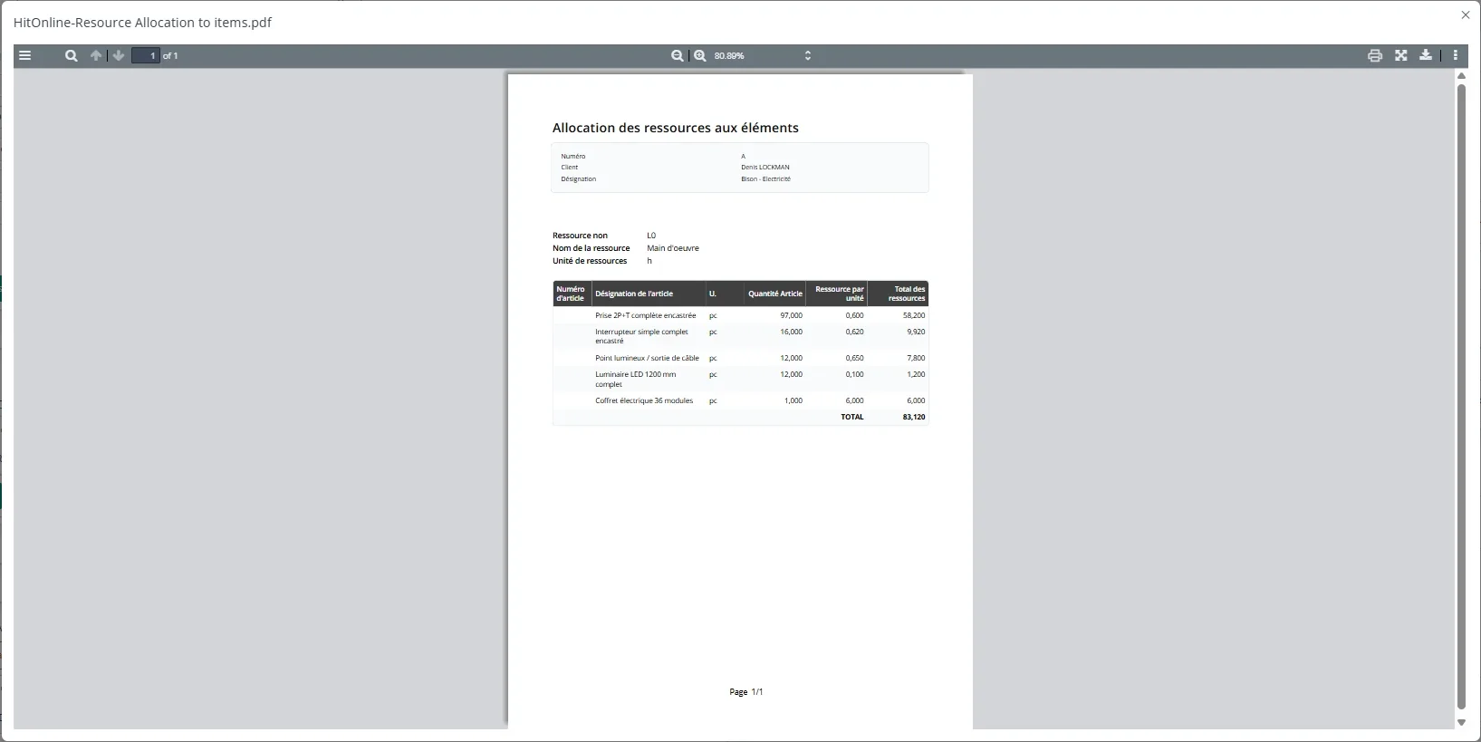 Bericht zur Zuordnung von Ressourcen zu Projektelementen